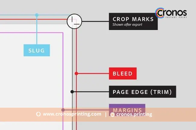 Cara Mengatur Bleed dan Margin di Desain Stiker