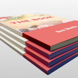 Cetak Buku Soft Cover Cetak Buku Soft Cover